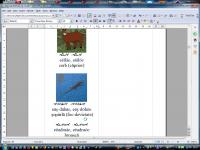 Thumbnail of aram_002_03022020_182221.jpg